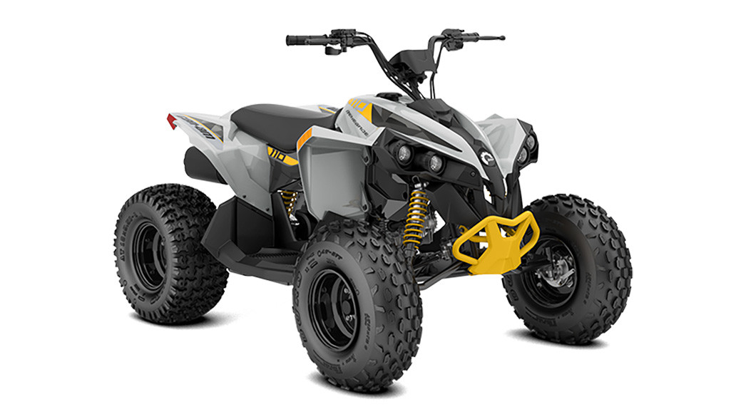 2023 Renegade 110 - 1